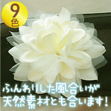 �ɥ쥹�ˤ�ʥ�����ե��å����ˤ⤪�����ᡪ���ꥢ���ܥ�塼�ॳ��������/��9��