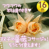 �뺧����ѡ��ƥ����˷礫���ʤ����ɥ쥹�ѡ��лҤΥ��������鯡˥���������/��16��
